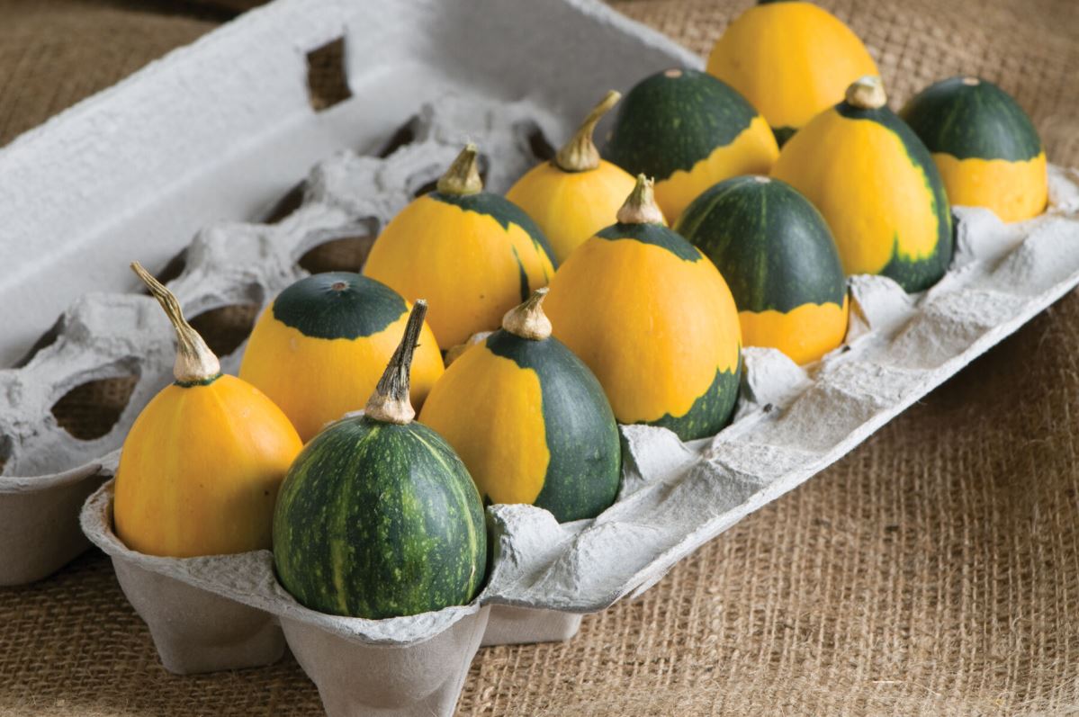 Goblin Eggs Mix – Gourd Seed